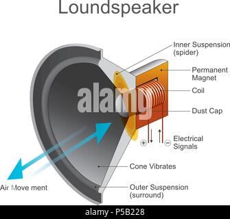 Loudspeaker or loud-speaker or speaker is an electroacoustic transducer which converts an electrical audio signal into a corresponding sound. Stock Vector