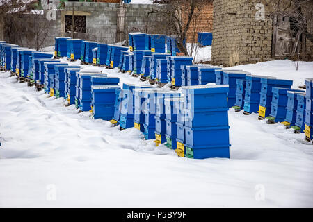 Winter country scene with beehives covered with snow . Stock Photo