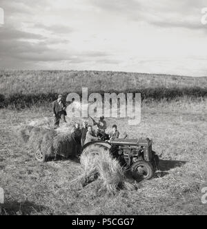 1950s, historical, farmer and his children putting bundles of dried flax on the trailer attached to the back of a tractor, England, UK. Stock Photo