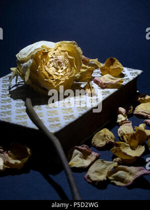 Withered rose placed on the cover of an old closed book, with rose petals scattered around Stock Photo