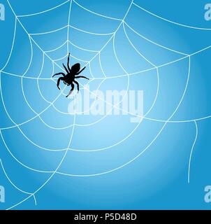 Spider sits on web - outline of cobweb Stock Vector