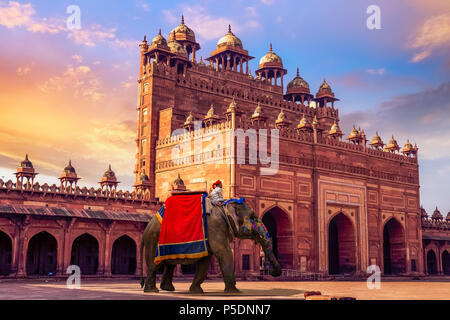 Decorated Indian elephant in front of Buland Darwaza Fatehpur Sikri Agra at sunset. Stock Photo