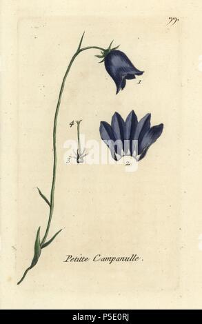 Harebell, Campanula rotundifolia. Handcoloured botanical drawn and engraved by Pierre Bulliard from his own 'Flora Parisiensis,' 1776, Paris, P.F. Didot. Pierre Bulliard (1752-1793) was a famous French botanist who pioneered the three-colour-plate printing technique. His introduction to the flowers of Paris included 640 plants. Stock Photo