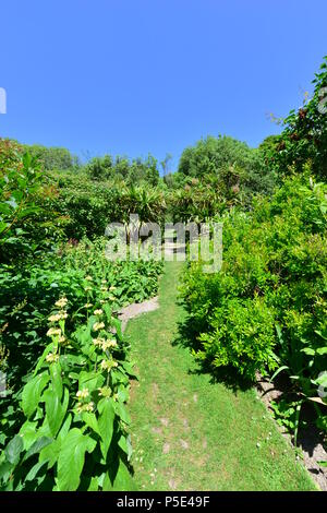 An English country garden in summertime. Stock Photo