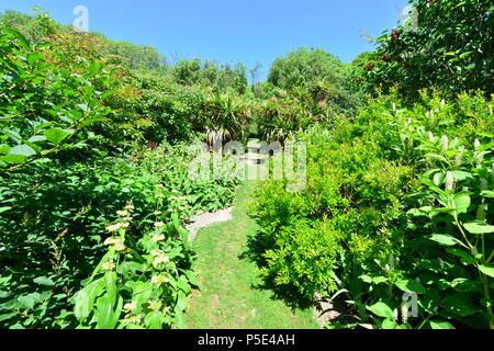 An English country garden in summertime. Stock Photo