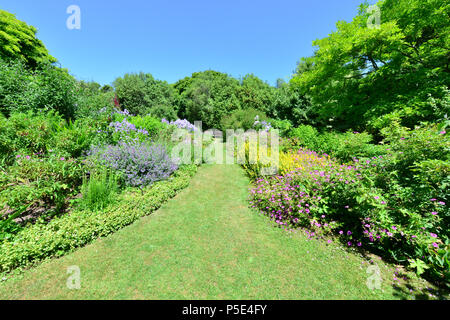 An English country garden in summertime. Stock Photo