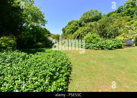 An English country garden in summertime. Stock Photo