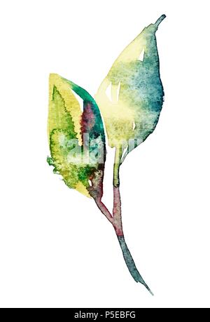 watercolor sketch two leaves, design element isolated Stock Vector