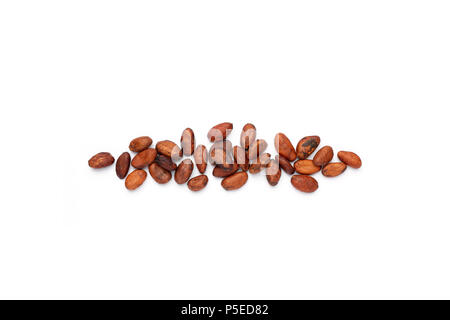 Cocoa beans (Theobroma cacao) photographed in the studio on a white background. Stock Photo
