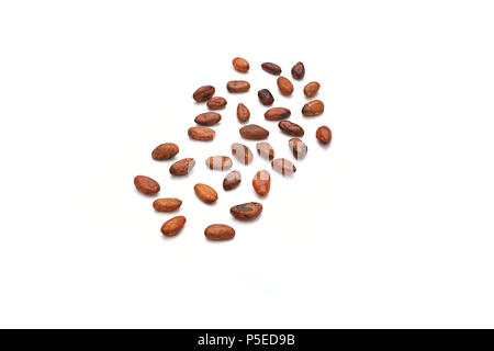 Cocoa beans (Theobroma cacao) photographed in the studio on a white background. Stock Photo