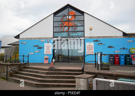 The lake district coast aquarium Maryport Cumbria England UK Stock Photo