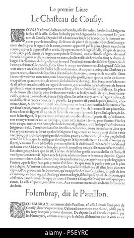 N/A. English: Page of text discussing the Château de Coucy and the Château de Folembray from Le premier volume des plus excellents Bastiments de France by Jacques I Androuet du Cerceau, which includes: Engravings of the Château de Coucy: a drawing of the entrance to the Great Tower and a drawing of lion sculptures a general plan of the château and its grounds a plan of the château itself a drawing of the Fireplace of the Nine Valiants and views of the front and rear facades Engravings of the Château de Folembray: a plan of the chateau and its garden a bird's-eye view of the same  <--previous p Stock Photo