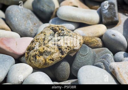 boulders and colorful pebbles on the beach on a warm summer day Stock Photo