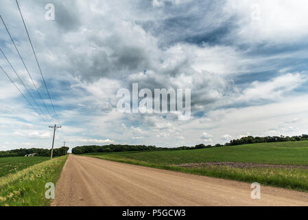 Gravel road running between soybean fields in rural Minnesota, June 2018 Stock Photo