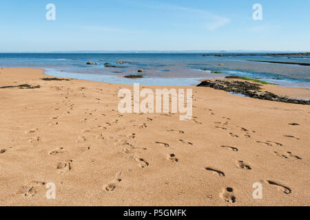 lots of footprints on a Scottish beach  - Anstruther beach, Fife, Scotland, UK Stock Photo