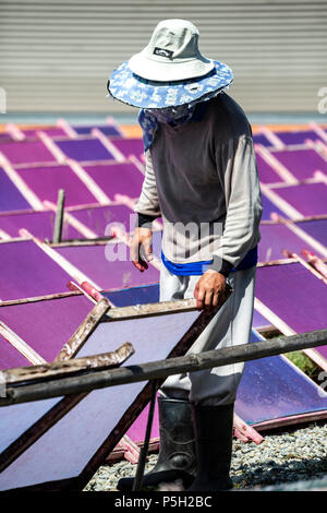 Artisan and screens with drying mulberry (saa) paper, near Chiang Mai, Thailand Stock Photo