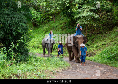 People riding Asian elephants (Elephas maximus) in jungle trail, Thai Elephant Home elephant farm, Keudchang Maetang, Chiang Mai, Thailand Stock Photo