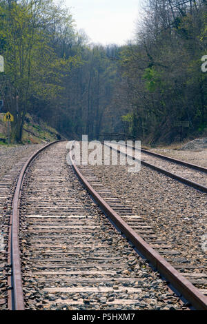 Dual train tracks leading into a deep forest and on to an unknown destination and journey's end Stock Photo