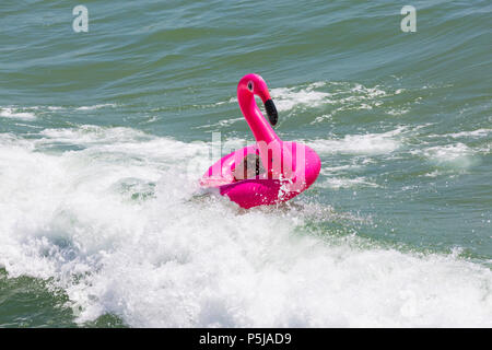 Bournemouth, Dorset, UK. 27th June 2018. UK weather: sunseekers head to the beaches at Bournemouth on another lovely warm sunny day with unbroken blue skies and sunshine. A nice cooling breeze today makes the heat more bearable. Woman having fun in the sea with pink inflatable flamingo - keeping cool, cooling down. Credit: Carolyn Jenkins/Alamy Live News Stock Photo