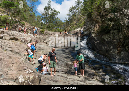 Families enjoying the Australian outdoor life at Cedar Creek Falls, Tamborine National Park, Queensland, Australia Stock Photo