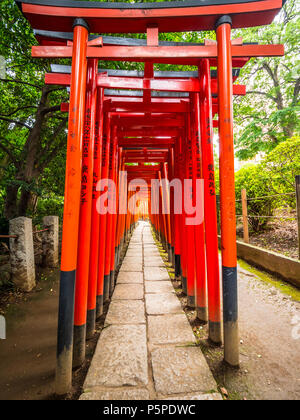 Impressive path covered by red gates at Nezu Jinja Shrine in Tokyo Stock Photo