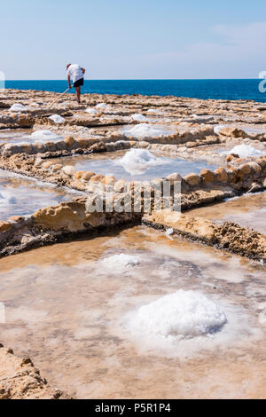 Harvesting sea salt from the ancient salt pans in Marsalforn, Gozo, Malta. Stock Photo