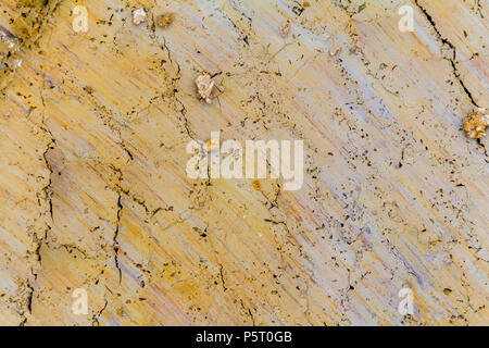 beautiful colored full frame abstract soil structure Stock Photo