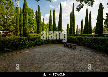 Wooden lonely bench stands calmly under the tree shadow in a park with several standing cypress trees in Sirmione next to lake Lago di Garda, Italy Stock Photo