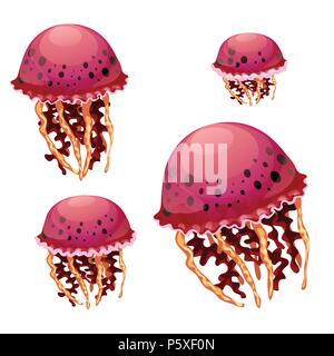 Set of red jellyfish isolated on a white background. Vector cartoon close-up illustration. Stock Vector