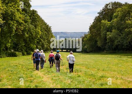 Group of senior citizen ramblers walking through Cotswold countryside near Sezincote, The Cotswolds, Gloucestershire, England, United Kingdom, Europe Stock Photo