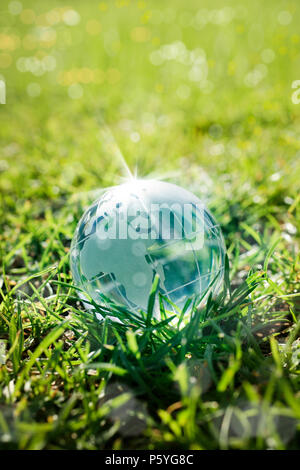 an image of glass globe on green grass Stock Photo