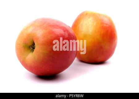 two red apples on white background Stock Photo