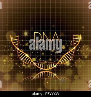 dna molecule half circle structure pattern Stock Vector Image & Art - Alamy