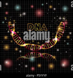dna molecule half circle golden structure Stock Vector Image & Art - Alamy