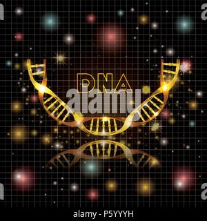 dna molecule half circle golden structure Stock Vector Image & Art - Alamy