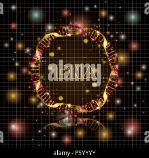 dna molecule circular golden structure Stock Vector Image & Art - Alamy