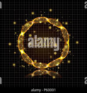 dna molecule circular golden structure Stock Vector Image & Art - Alamy