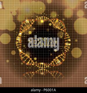 dna molecule circular golden structure Stock Vector Image & Art - Alamy