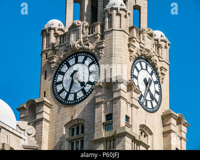 Close up view of one of Three Graces, Royal Liver building, Pier Head, Liverpool, England, UK with largest UK clocks and blue sky Stock Photo