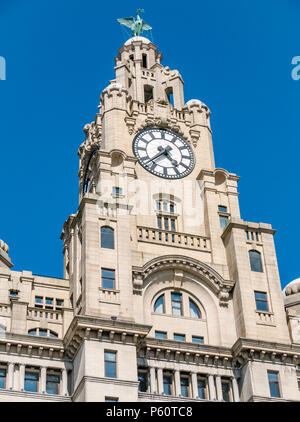 View of one of Three Graces, Royal Liver building, Pier Head, Liverpool, England, UK with largest UK clock and cormorant Liver bird Stock Photo