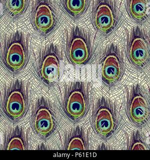 Seamless watercolor pattern with peacock feathers. Stock Photo