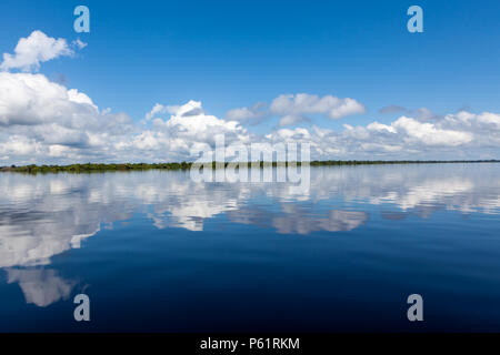 Amazonas, Brazil - River bank in the Amazon rainforest with dark waters of Negro river reflecting blue sky and clouds and forest in the background on 