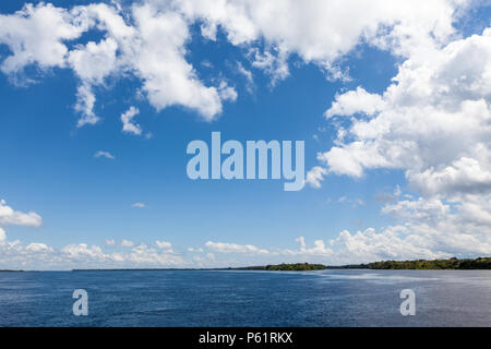 Amazonas, Brazil - River bank in the Amazon rainforest with dark waters of Negro river reflecting blue sky and clouds and forest in the background on 