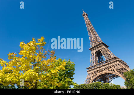 Paris, France - 23 June 2018: Eiffel Tower from the Champ de Mars gardens in summer. Stock Photo