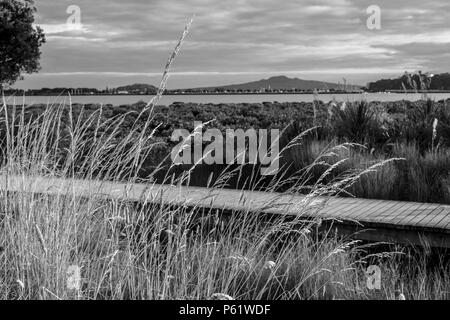 Auckland, New Zealand. Hobson Bay in the morning Stock Photo