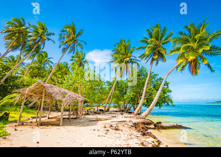 Palm trees and staw hut on tropical island. Tahaa, French Polynesia. Stock Photo