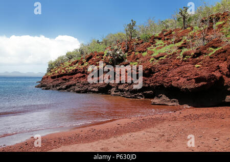 Red sand beach on Rabida Island in Galapagos National Park, Ecuador Stock Photo