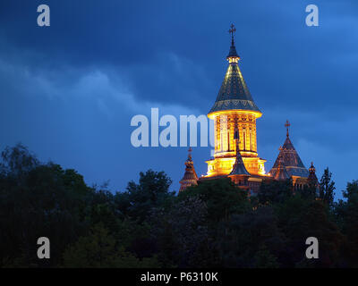 Night view of the Metropolitan Cathedral over the surrounding trees in Timisoara, Romania Stock Photo