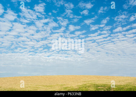 Cut hay field with blue summer sky with fluffy clouds. Blue sky thinking. Stock Photo