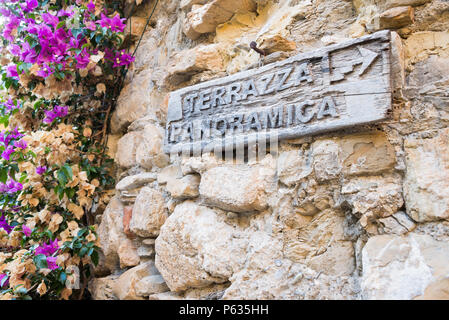 Signboard indicating panoramic view on a brick wall background and flowers of various colors. Useful as directions to go to a place where you have a b Stock Photo